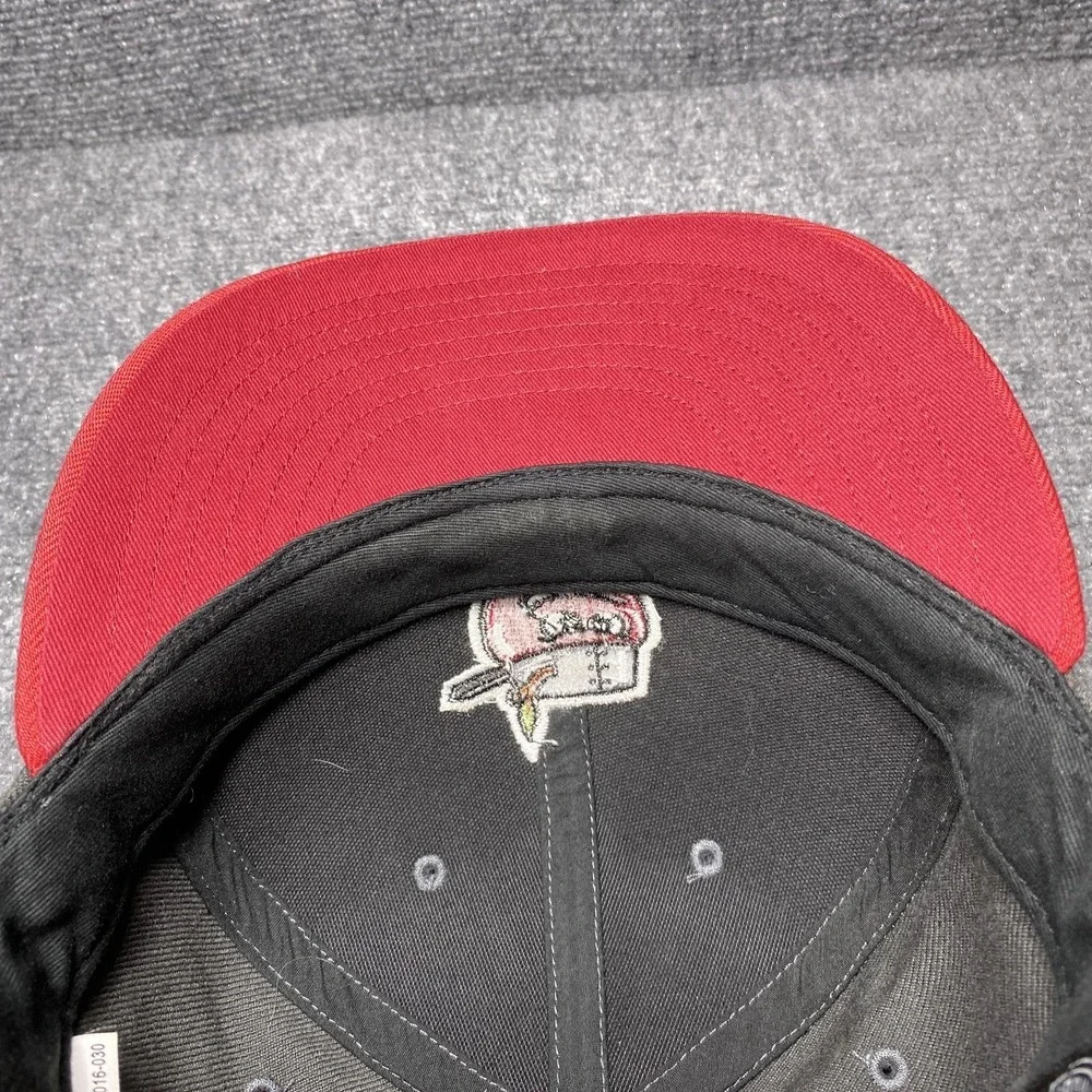 Fort Wayne TinCaps Hat Cap Strap Back Youth Gray Red MILB Baseball Apple Mascot